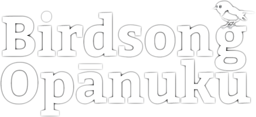 Bringing Birdsong to the Valley 