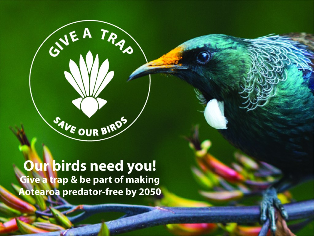 Give a Trap. Birdsong Opanuku, Waitakere Ranges West Auckland.