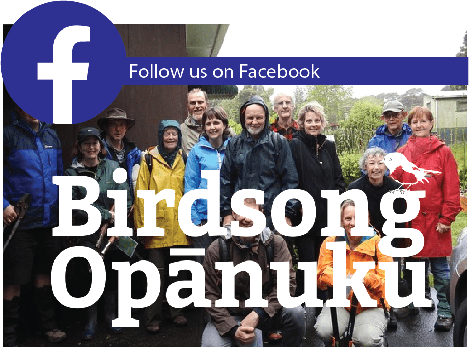 Opanukubirdsong facebook page.