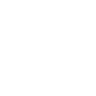 Give a Trap. Birdsong Opanuku, Waitakere Ranges, West Auckland.